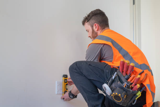 Best Ceiling Fan Installation Electrician  in Roseland, FL