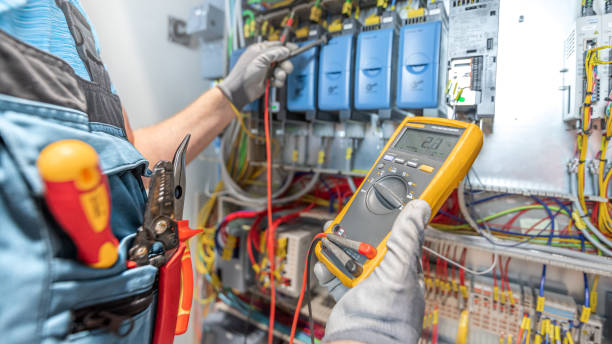 Best Electrical Troubleshooting Services  in Roseland, FL